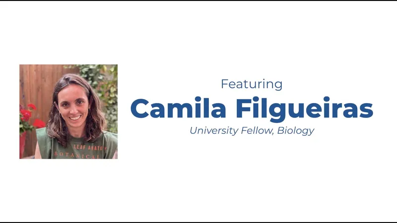 Plant - Insect - Microbe Interactions: From Brazil to UNCA